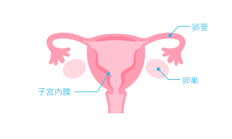 子宮内膜症