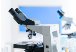 産み分け(MicroSort法)